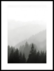 Постер лес туман хвойный ель черно-белый