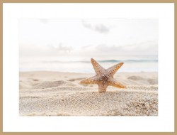 Постер море морская звезда песок берег пляж