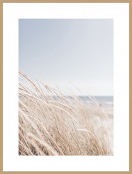 Постеры берег море пляж колосья растения небо